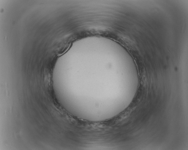 X0000060791061200512082118