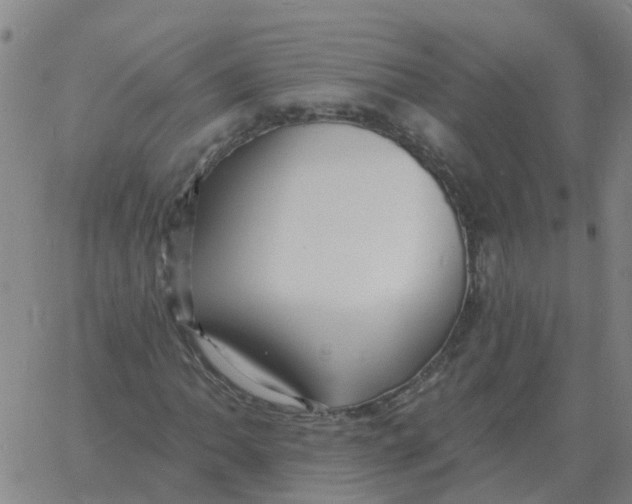 X0000060791062200512082118