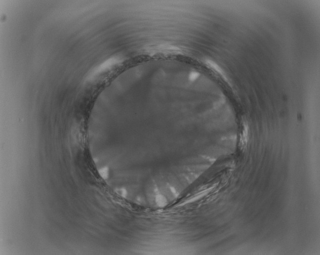 X0000060791063200512082118