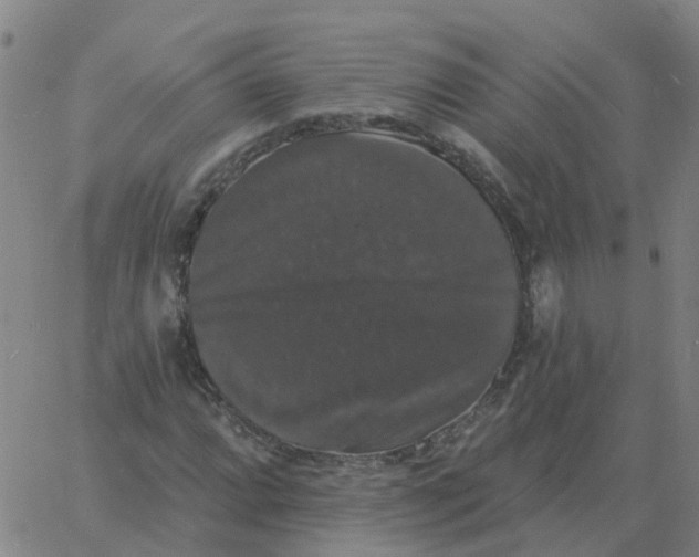 X0000060791064200512082118