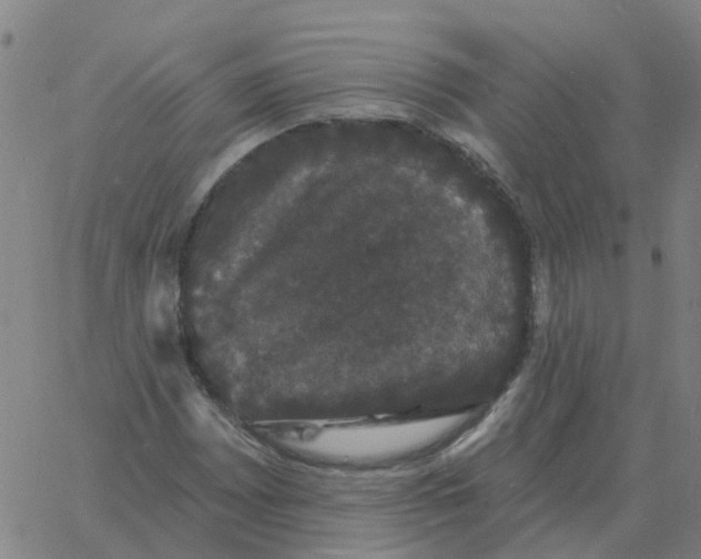 X0000060791065200512082118