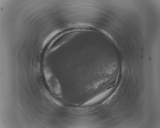 X0000060791066200512082118