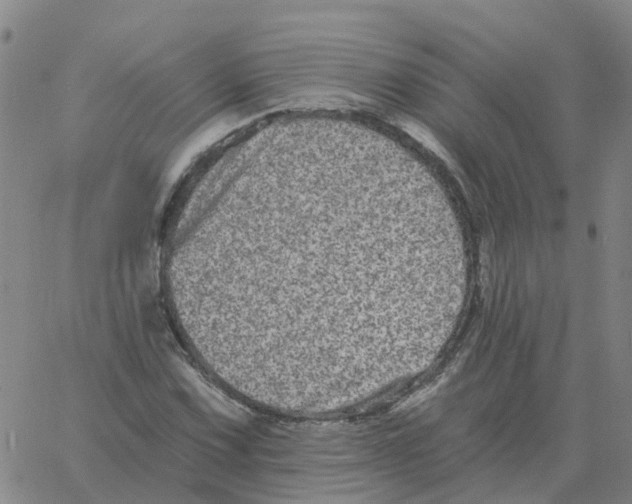 X0000060791067200512082118