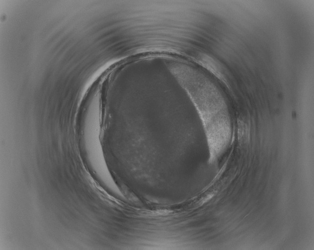 X0000060791068200512082118