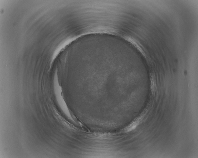 X0000060791069200512082118