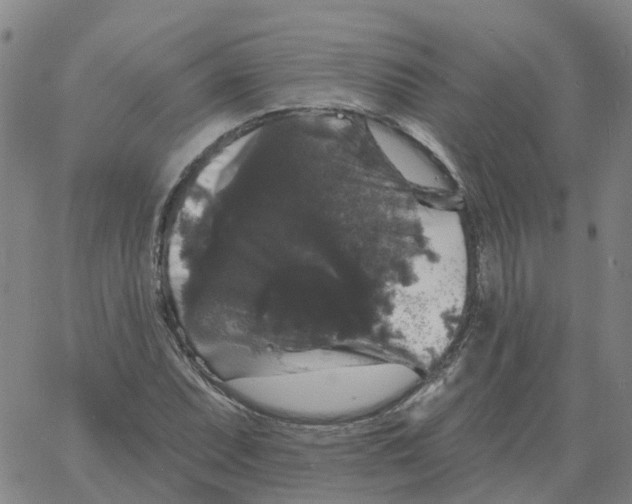 X0000060791071200512082118