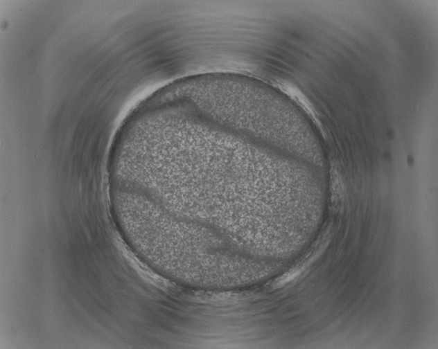 X0000060791072200512082118