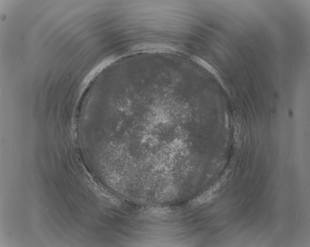 X0000060791074200512082118