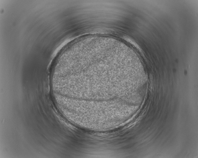 X0000060791075200512082118