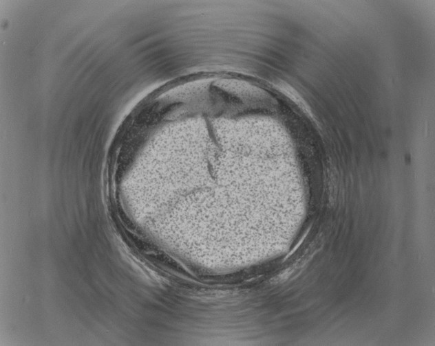 X0000060791076200512082118