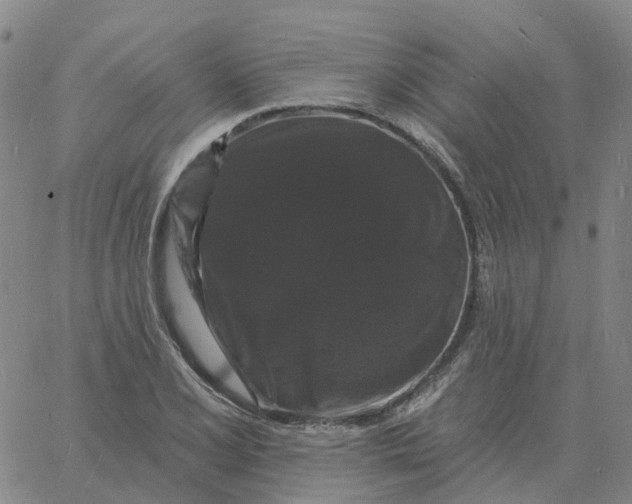 X0000060791077200512082118