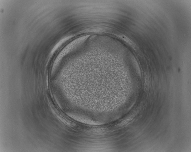 X0000060791078200512082118