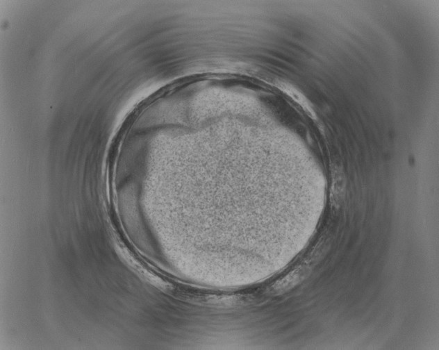 X0000060791080200512082118