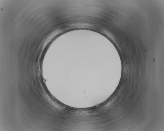 X0000060791082200512082118