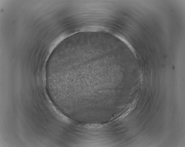 X0000060791083200512082118