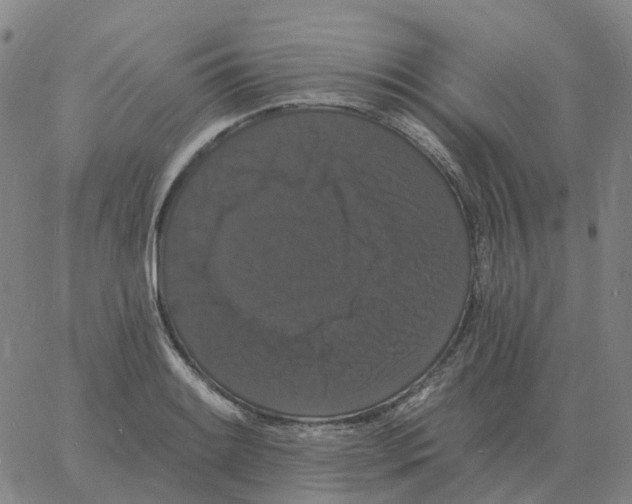 X0000060791084200512082118