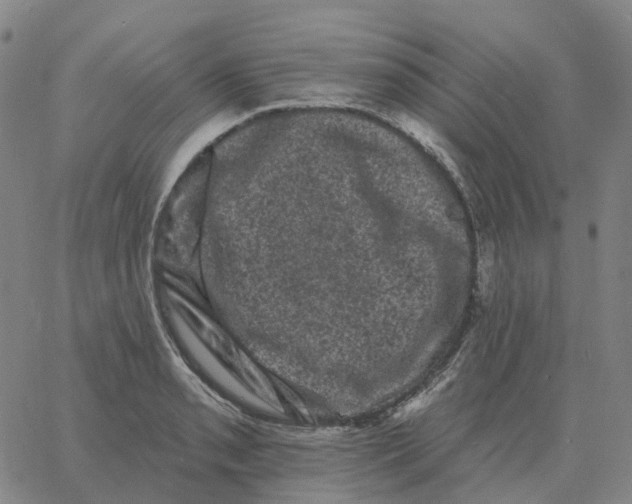 X0000060791085200512082118