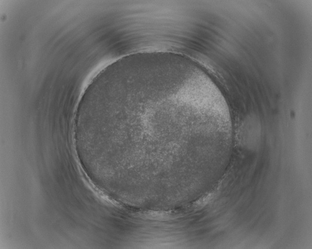 X0000060791086200512082118