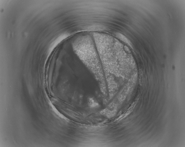 X0000060791087200512082118