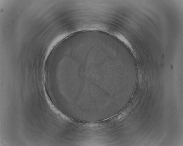 X0000060791088200512082118