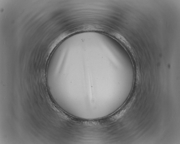 X0000060791089200512082118