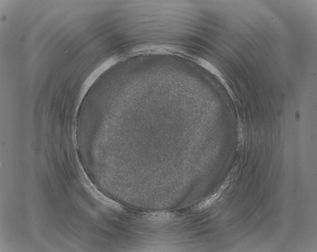 X0000060791090200512082118