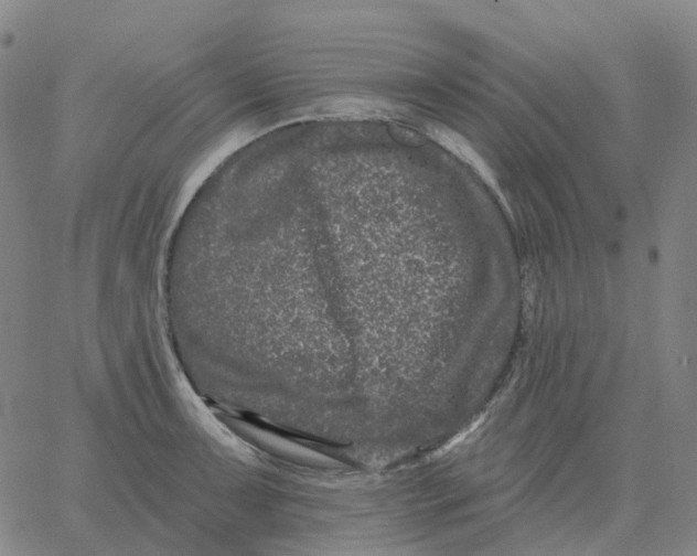 X0000060791091200512082118