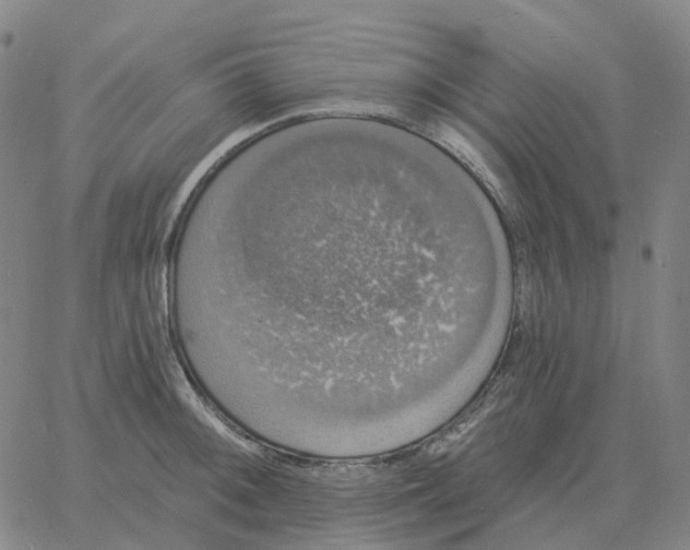 X0000060791092200512082118