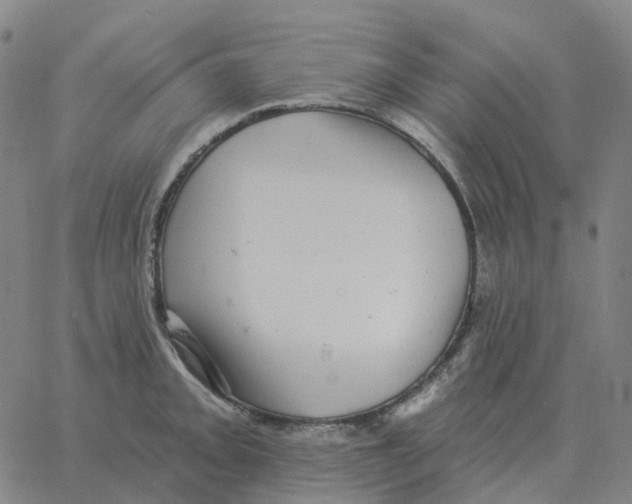 X0000060791093200512082118