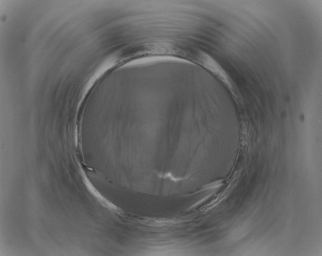 X0000060791095200512082118