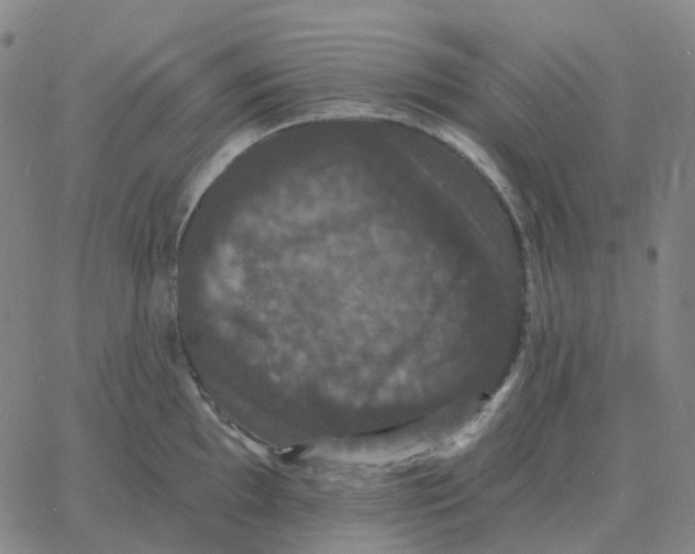 X0000060791097200512082118