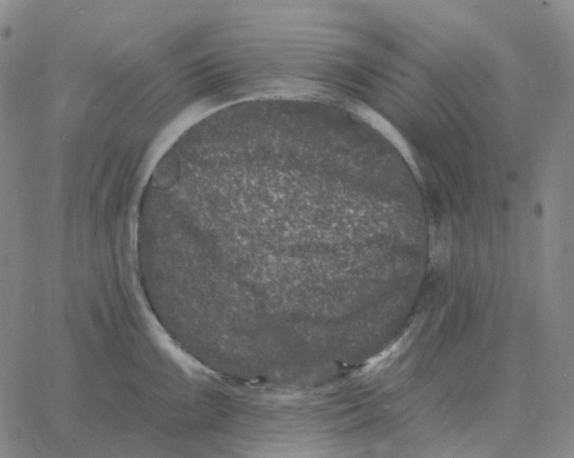 X0000060791099200512082118