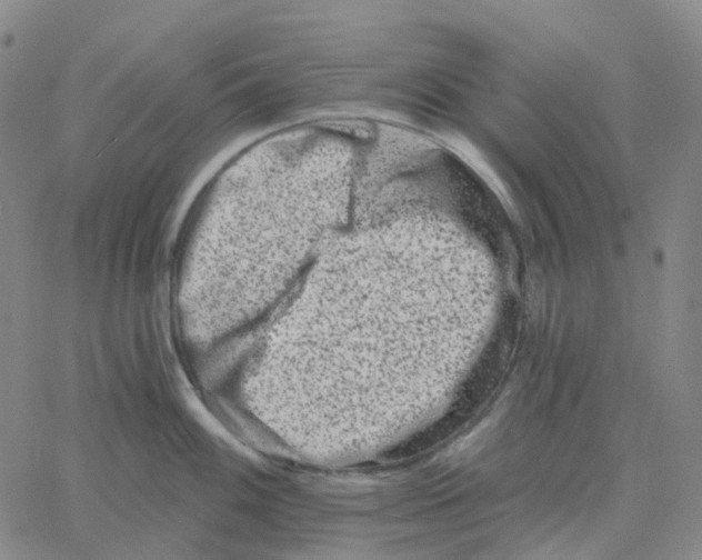 X0000060791100200512082118