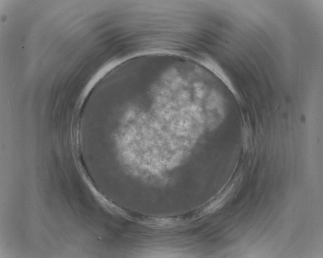 X0000060791101200512082118