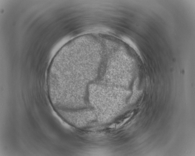 X0000060791103200512082118