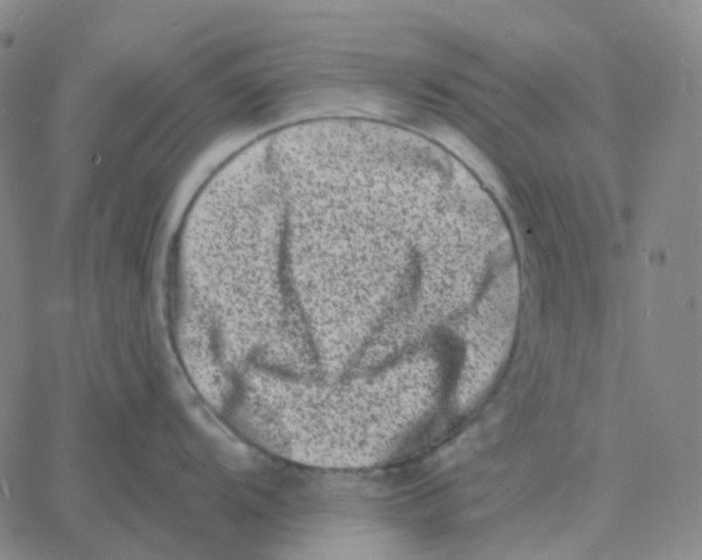 X0000060791104200512082118