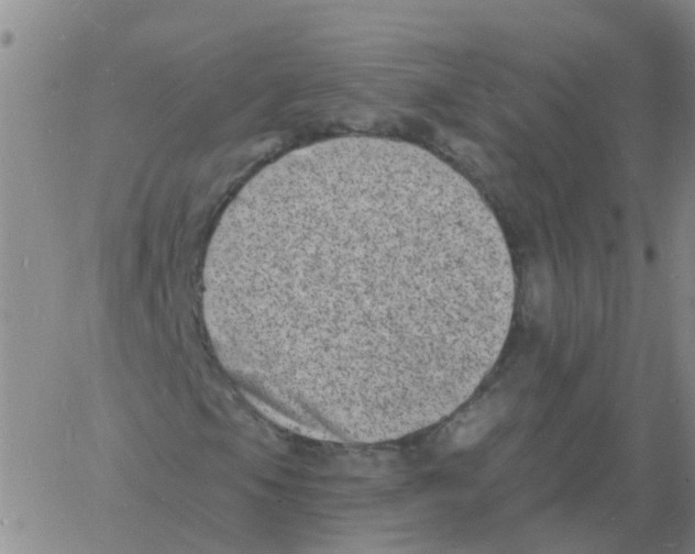 X0000060791105200512082117