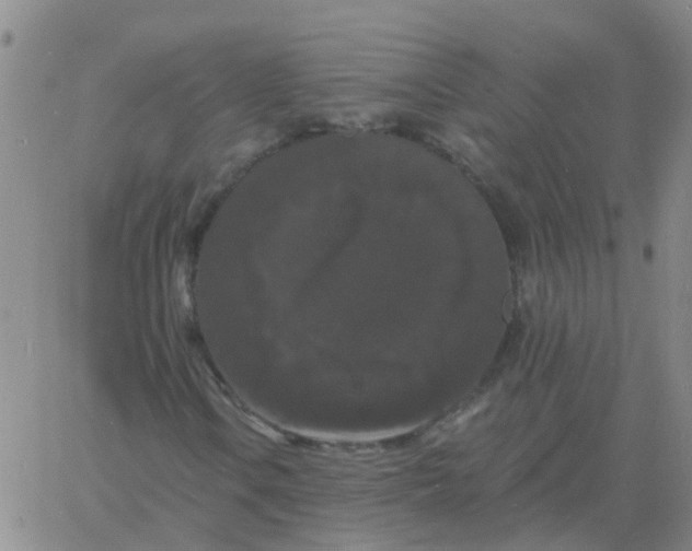 X0000060791106200512082117