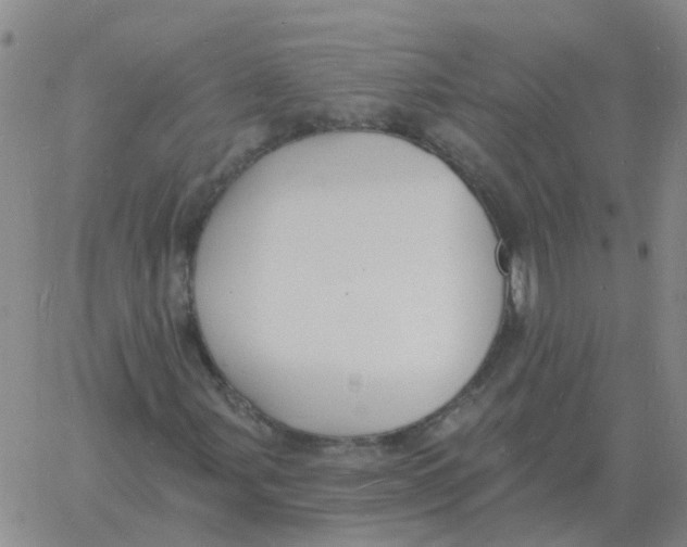 X0000060791107200512082117