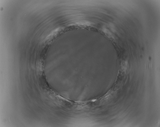 X0000060791110200512082117