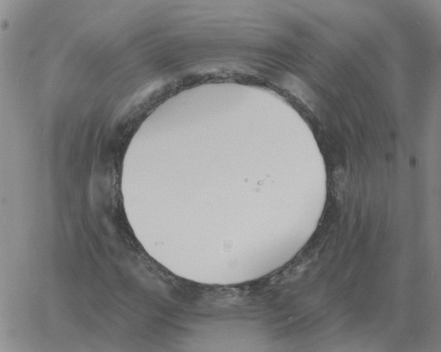 X0000060791111200512082117