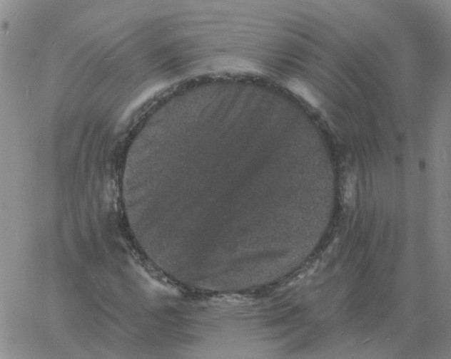 X0000060791112200512082117