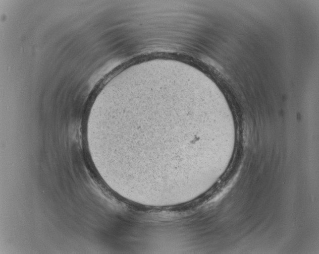 X0000060791113200512082117