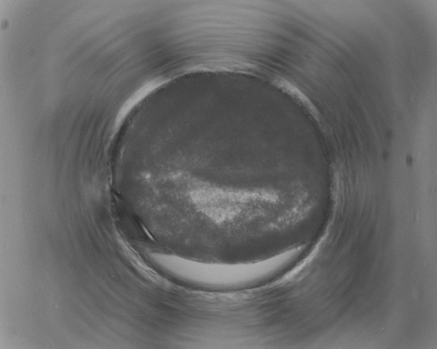 X0000060791114200512082117