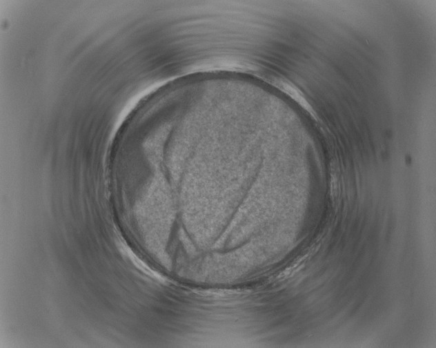 X0000060791116200512082117