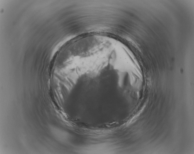 X0000060791117200512082117