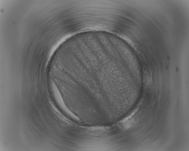 X0000060791118200512082117