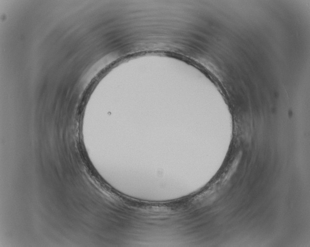 X0000060791119200512082117