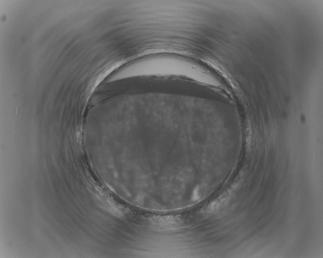 X0000060791121200512082117