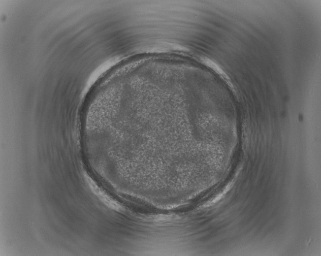 X0000060791122200512082117